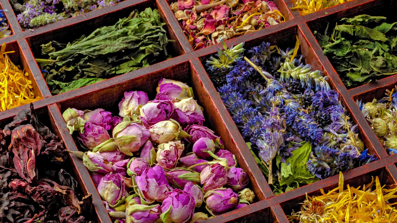 Unlock Your Potential: A Comprehensive Guide to Herbalism Certification